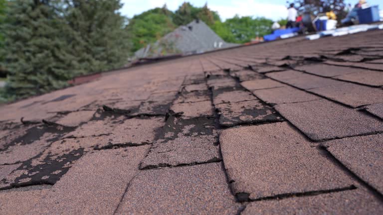Best Metal Roofing Installation  in Tillamook, OR